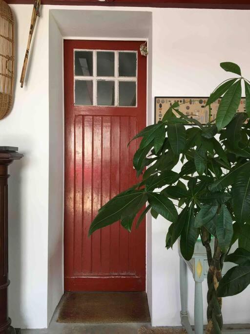 Appartement En Rez De Jardin Ciboure Esterno foto